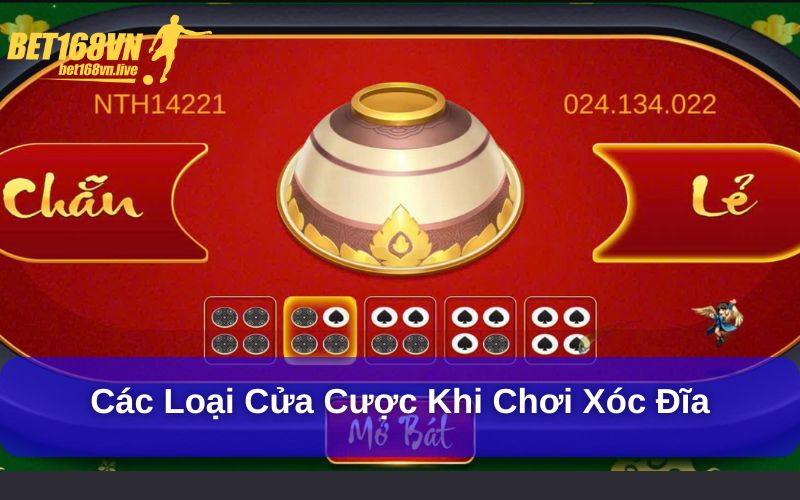 Khám Phá Mẹo Chơi Xóc Đĩa Hiệu Quả Cho Người Mới Các loại cửa cược khi chơi xóc đĩa